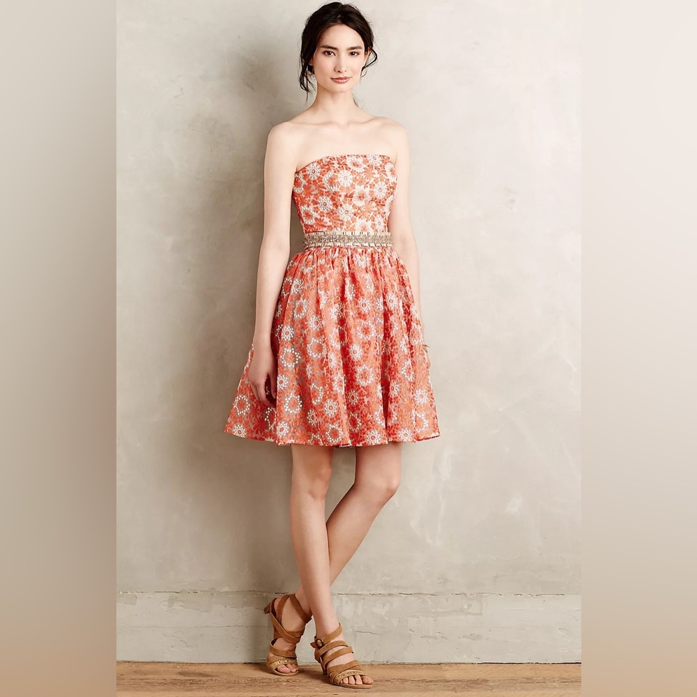 NWT Rachel Antonoff Anthropologie embroidered Kilan dress